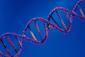 Рецензирование генетических экспертиз 🔍 Рецензирование генетических экспертиз 🔍